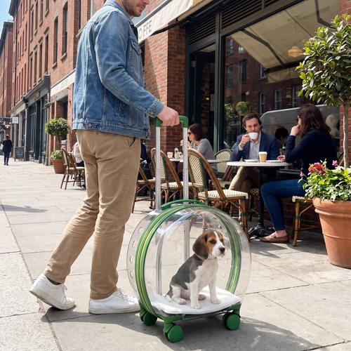 Green pet trolley on a city sidewalk with puppy
